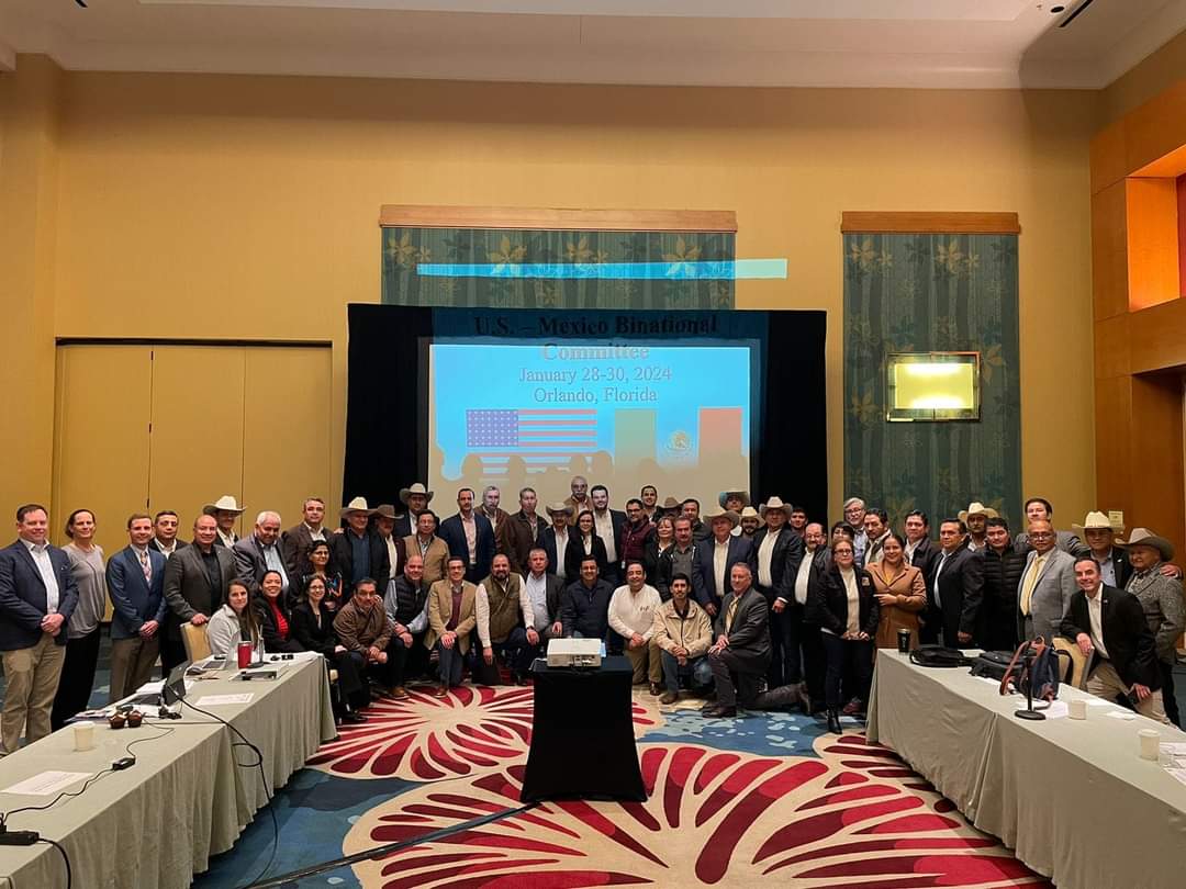 FB_IMG_1707031419517