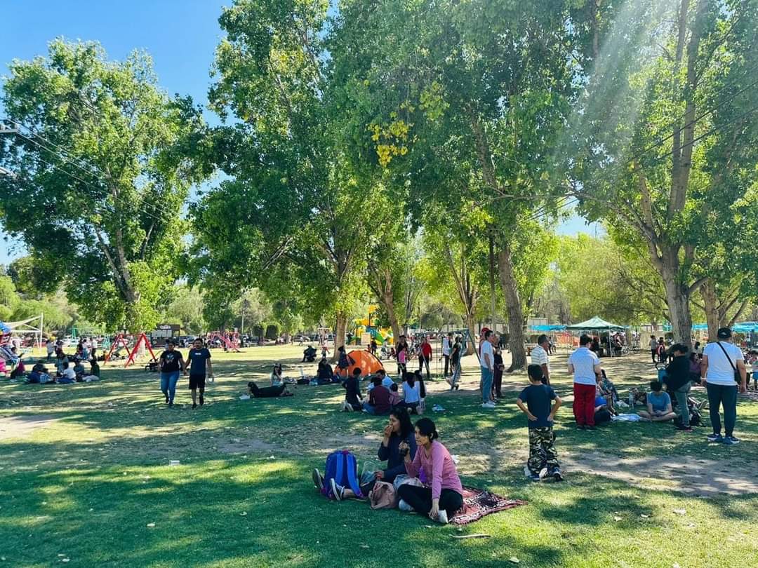 FB_IMG_1712006656625