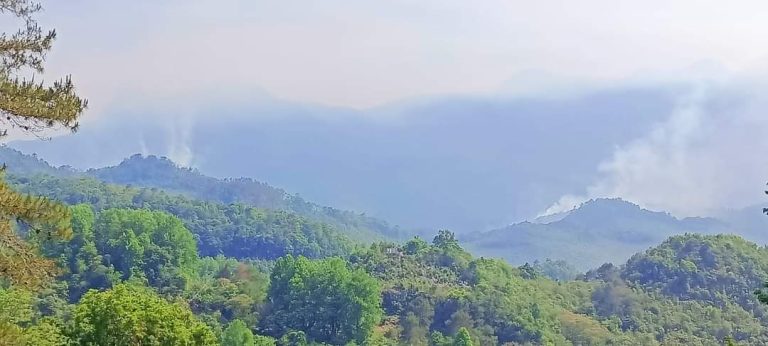 FB_IMG_1713407340406