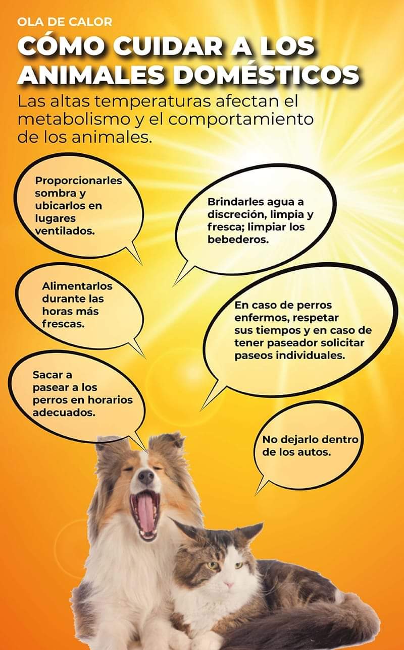 FB_IMG_1716242347960