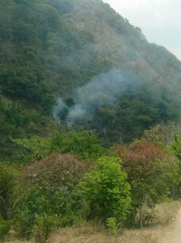 FB_IMG_1718083214469