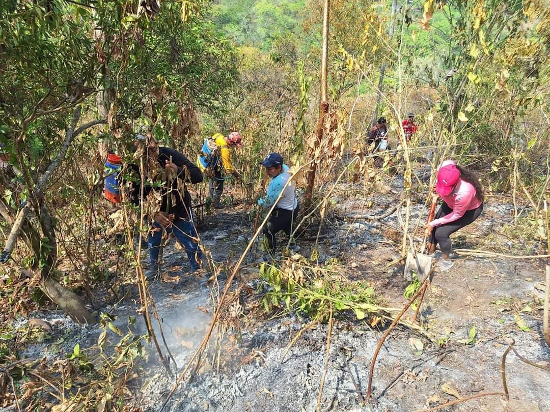 FB_IMG_1718211570355