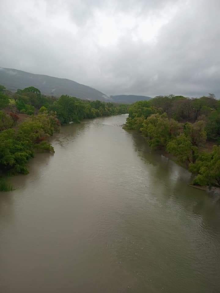 FB_IMG_1719030593012