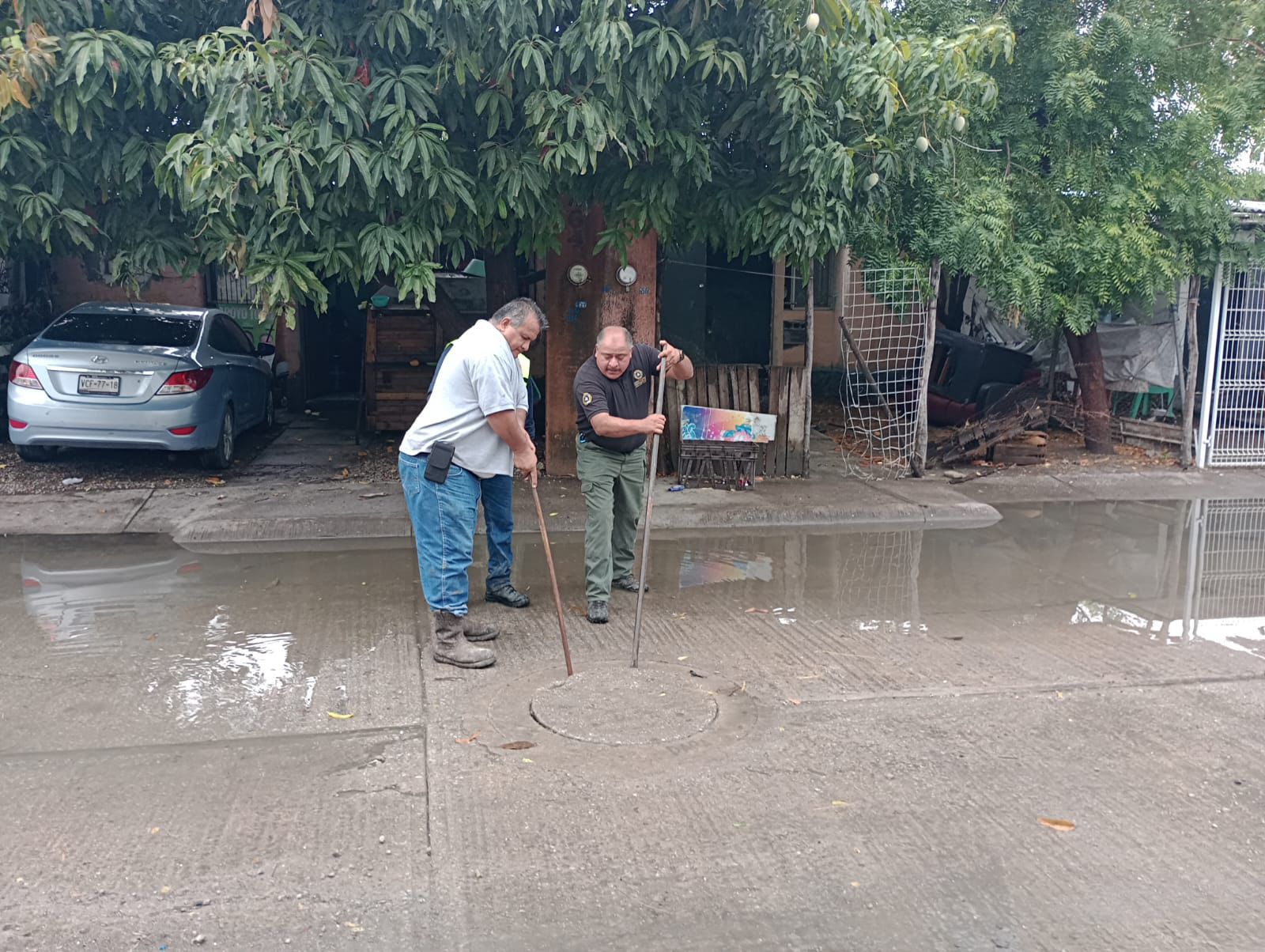 WhatsApp Image 2024-06-21 at 11.34.44 AM