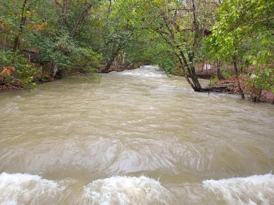 WhatsApp Image 2024-06-21 at 12.52.40 PM