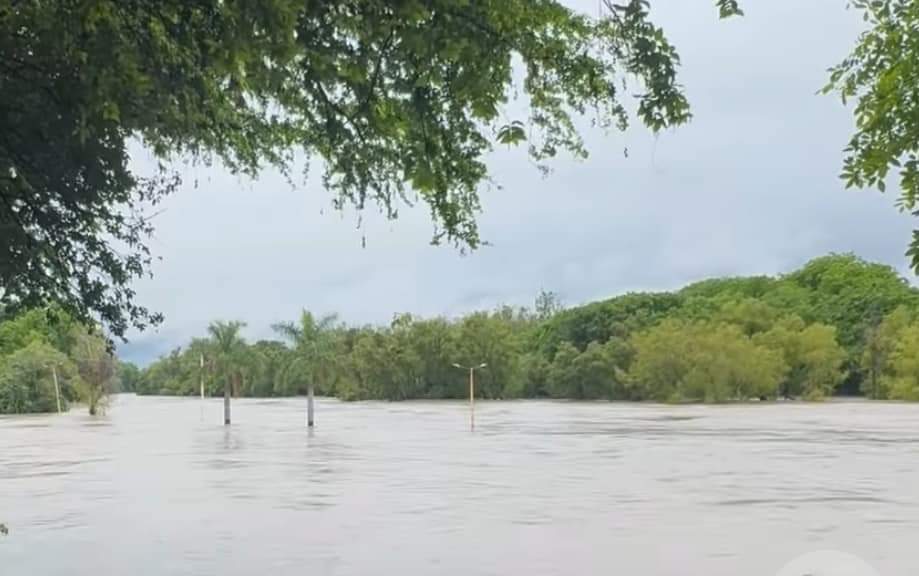 FB_IMG_1722224056872