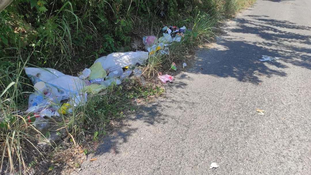 FB_IMG_1729051735966