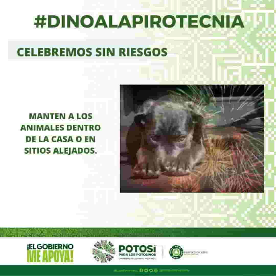 FB_IMG_1734912418878-min