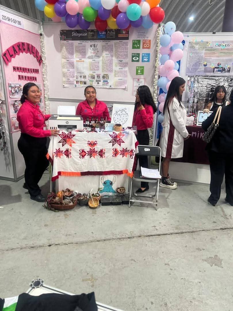 FB_IMG_1735446542133