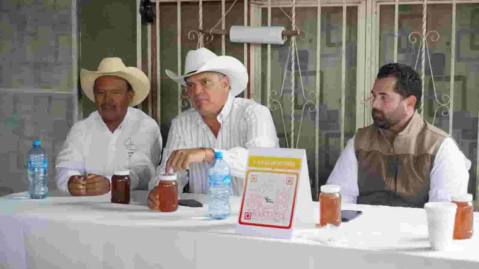 IMG-20241221-WA0012-min