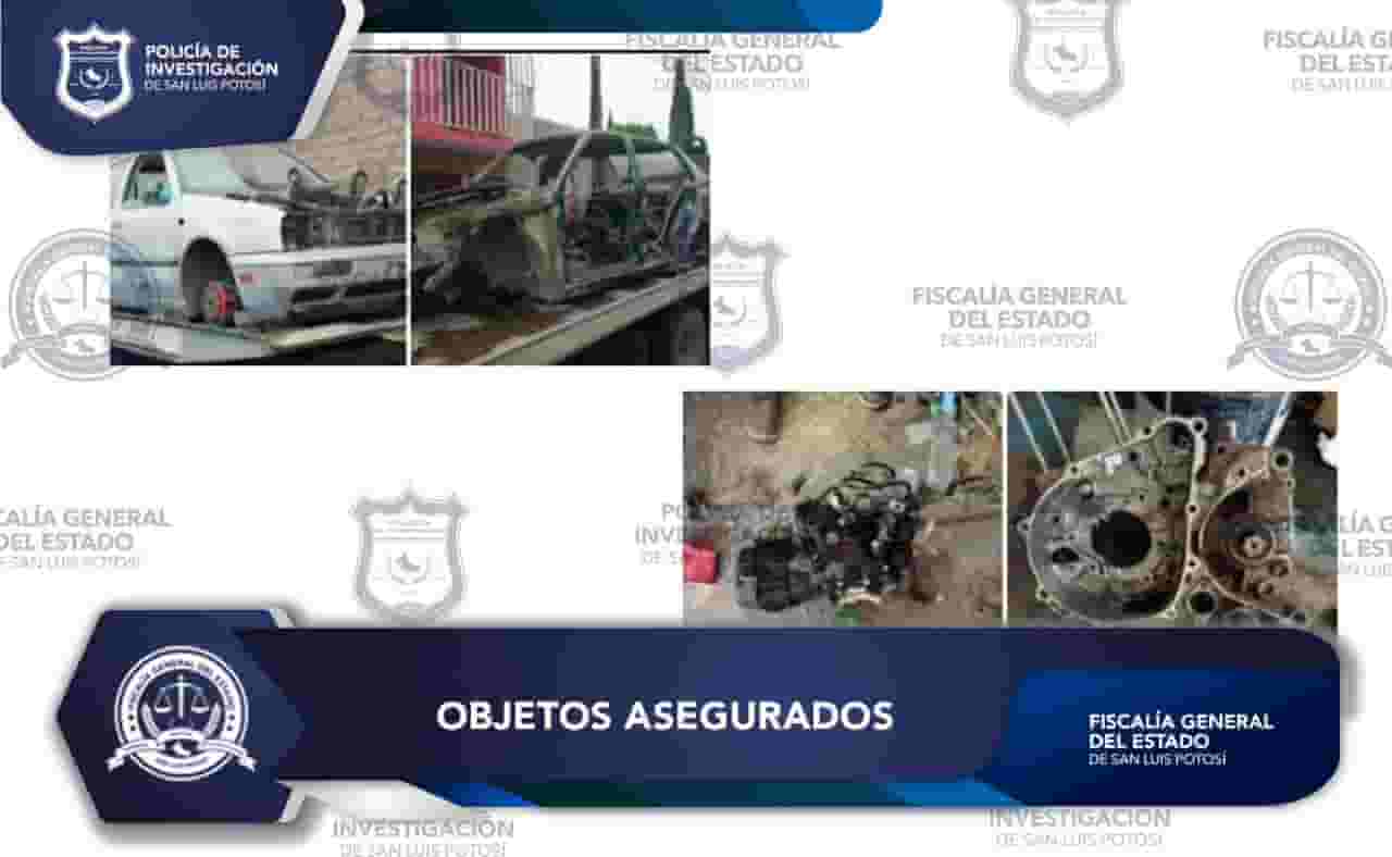 IMG-20241221-WA0017-min