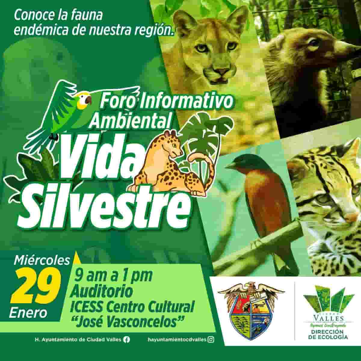 IMG-20250125-WA0036-min