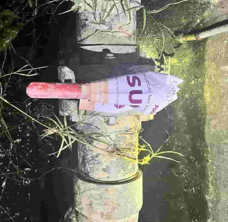 FB_IMG_1739594302778-min