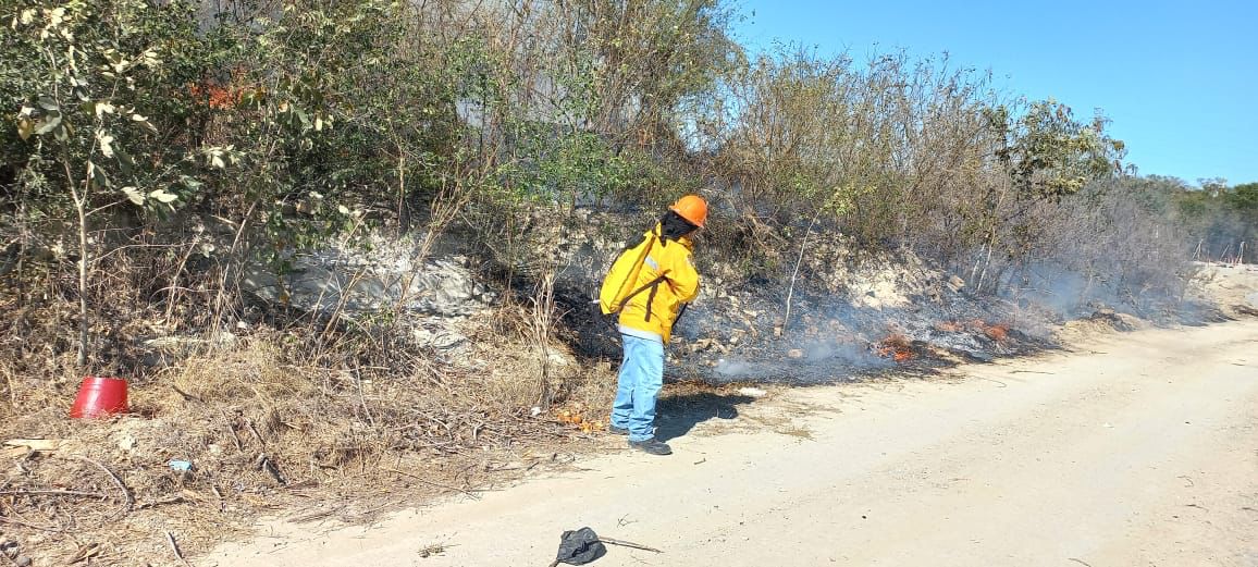 a7483318-4c65-466e-baaf-072486f38995