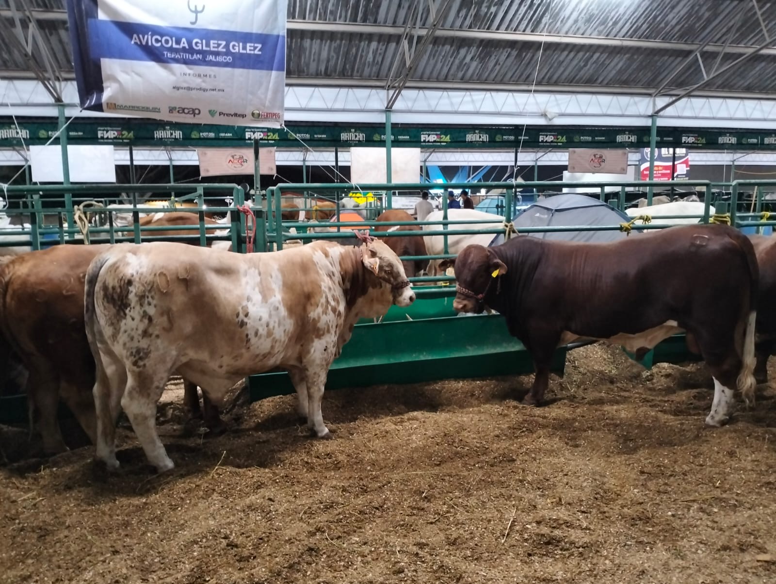 a6c1c633-67a9-4a25-a119-bffca63284eb