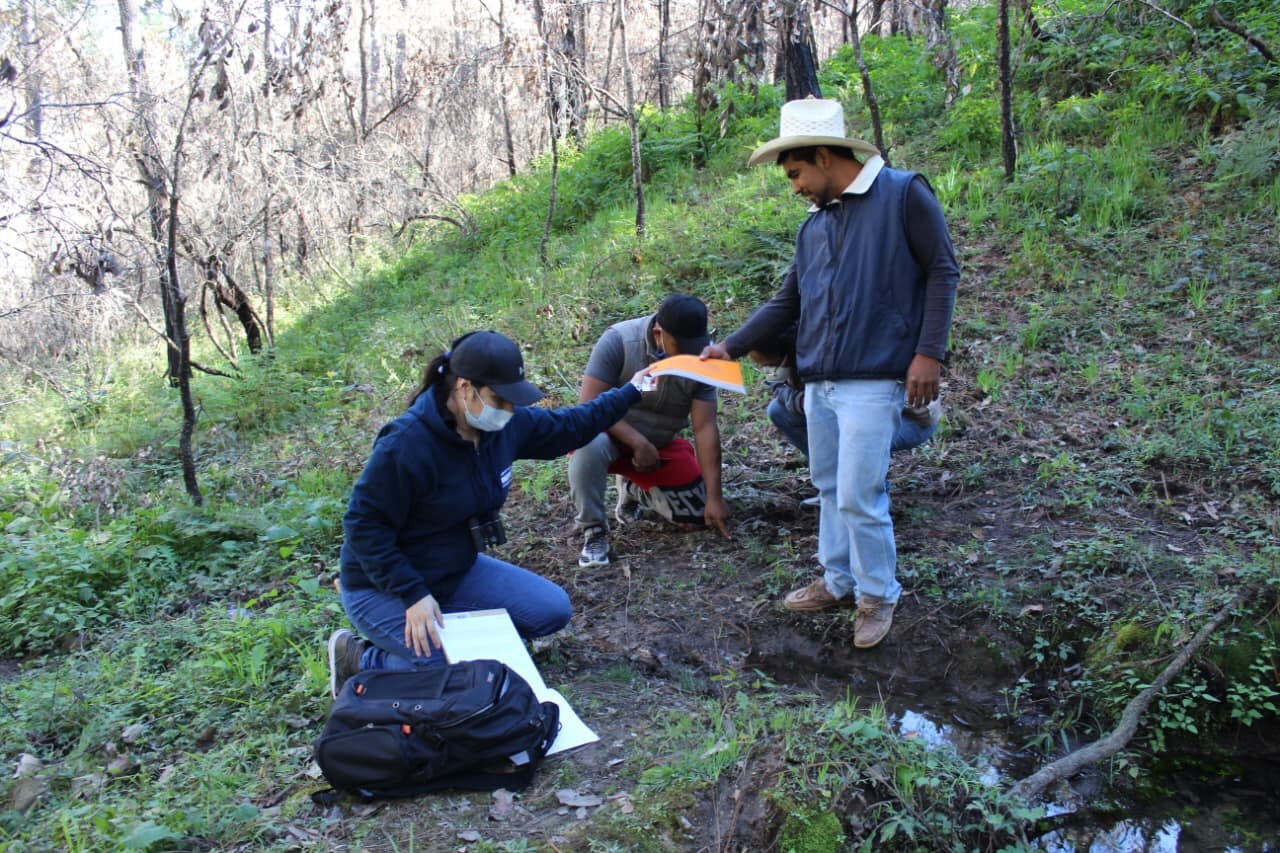 fe1d345b-507e-4736-9733-718ed49c7fbe