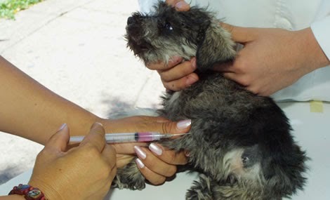 0bd6fe53-6107-48b7-82ac-f58ac807b642