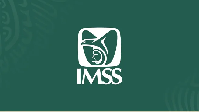pension-imss