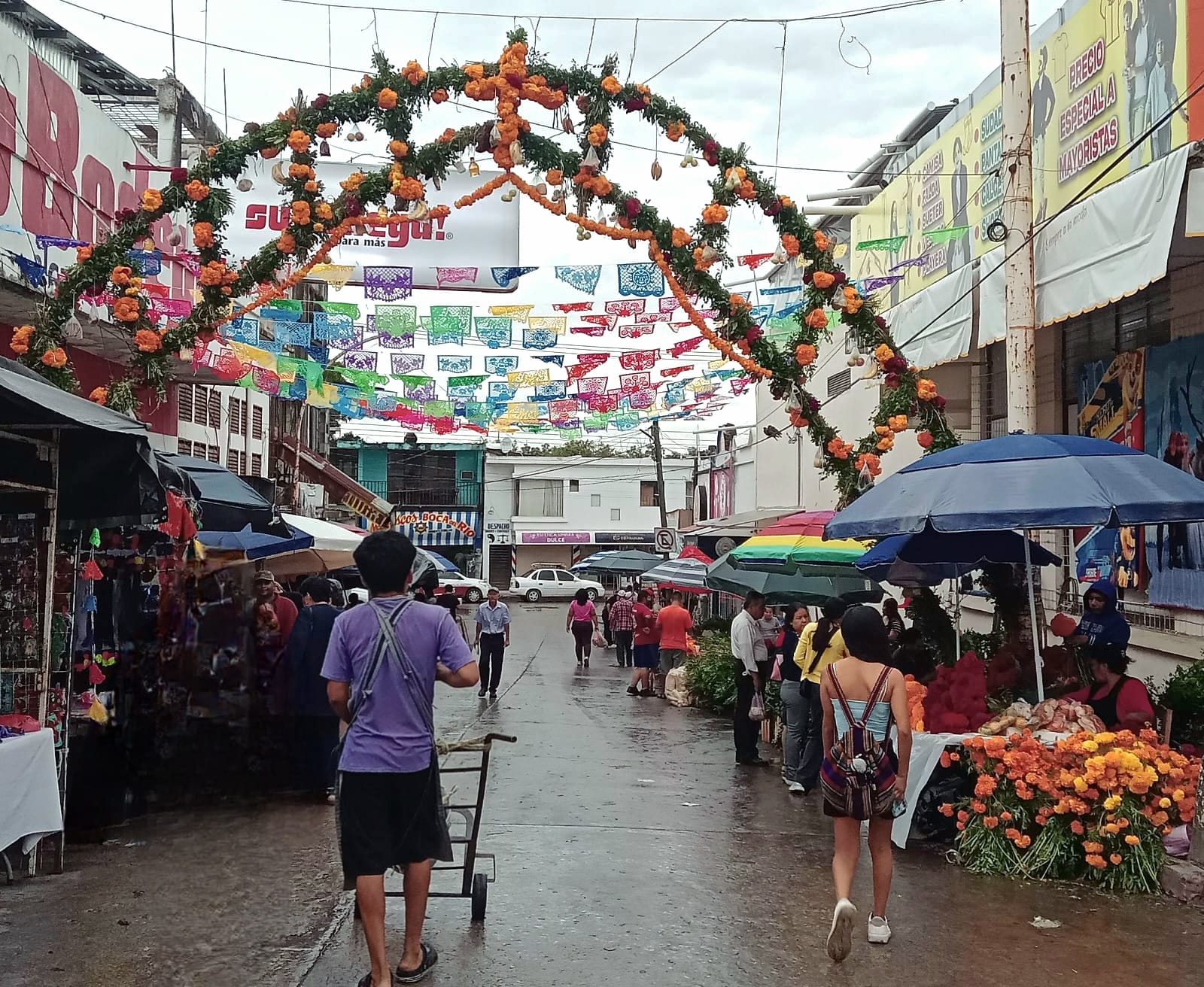 0a912276-bd4f-4c4b-9e2c-49aad5348fbf