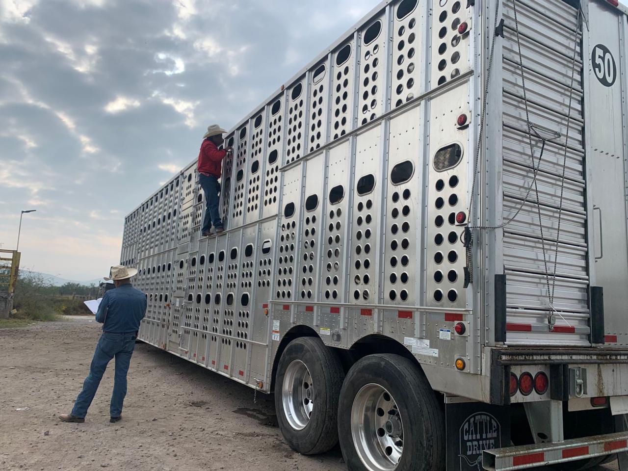 f0cbb483-fd15-45a7-ac9b-0f72e6350e88