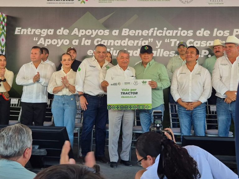 530ef561-eb9f-49a8-a241-18e96cd65659