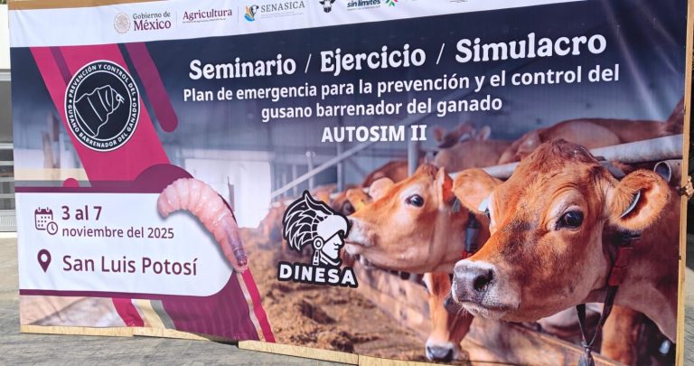 861d7c31-fddf-4fdc-806e-9927755167b3