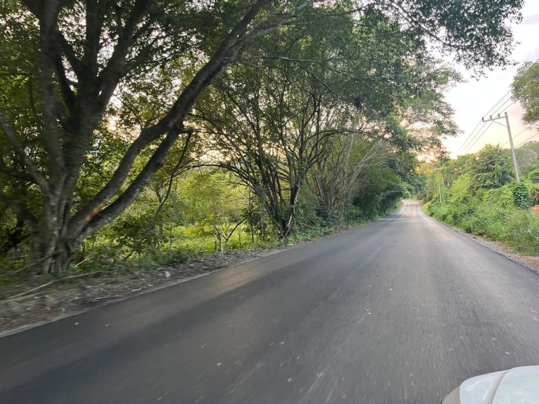 d3d19ba7-2ebb-4edd-af3e-fff585608026