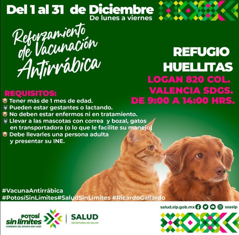 8370c279-19a4-4bff-9945-e3d0d6b15cdf