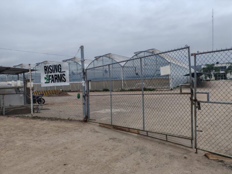 52d24ab0-67ff-4f52-98a3-e6f4740791e6